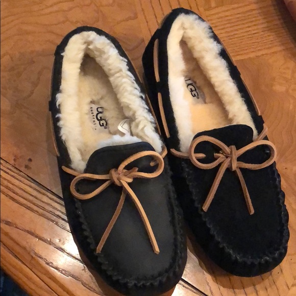 UGG Shoes - Ugg Dakota